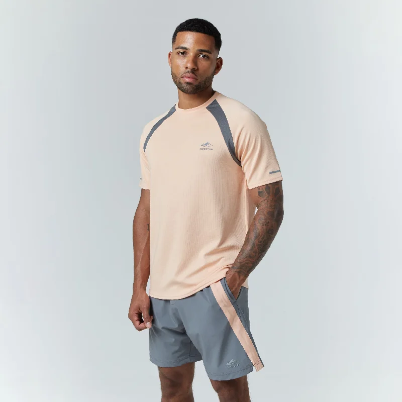 Cut & Sew Stripe Training Twinset | Peach Charcoal Sleek Men's Metallic