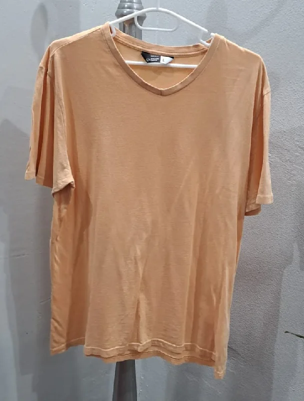 Basic VNeck TShirt (Large) Cool Men's Distressed