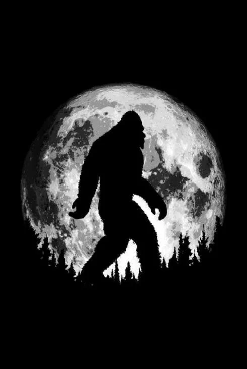 Tin - Full Moon BigFoot Vintage Men's 1970S Disco